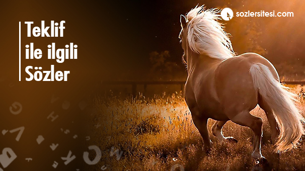 Teklif Mesajları