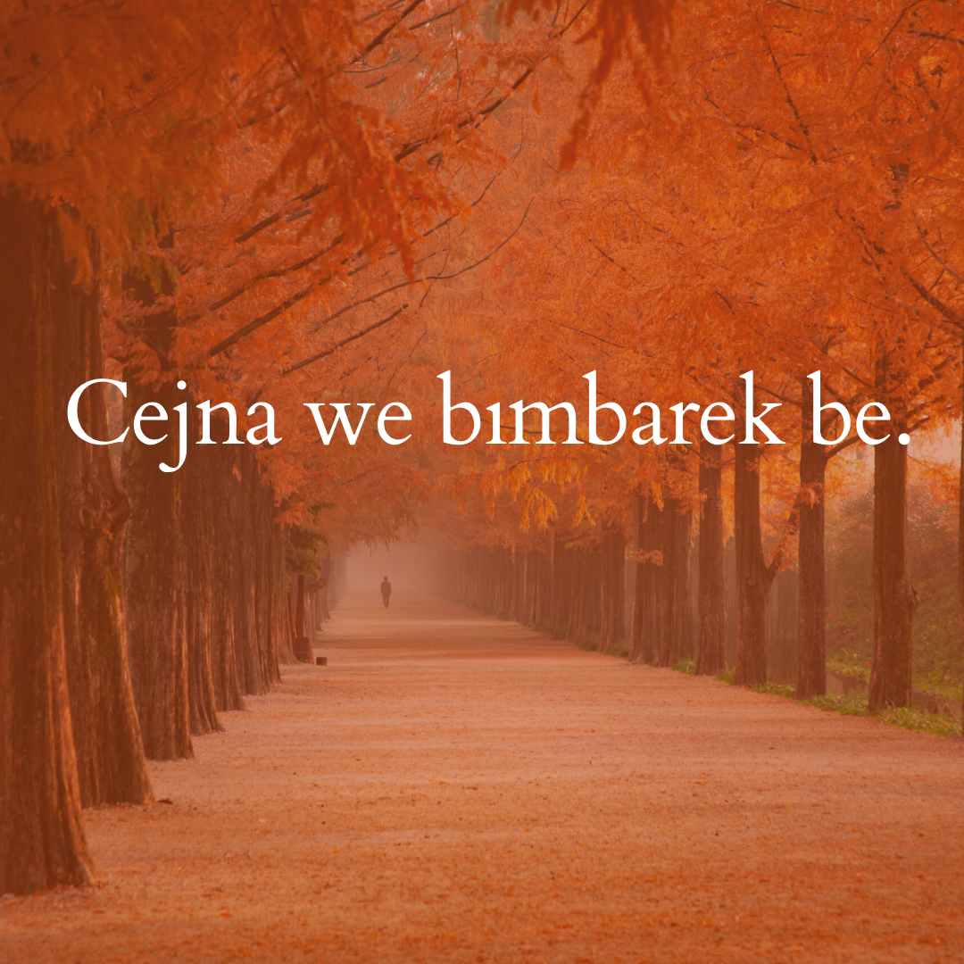 Kürtçe Bayram Mesajları Cejna we bimbarek be.
