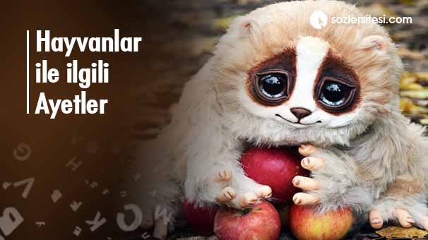 Hayvanlar ile ilgili Ayetler