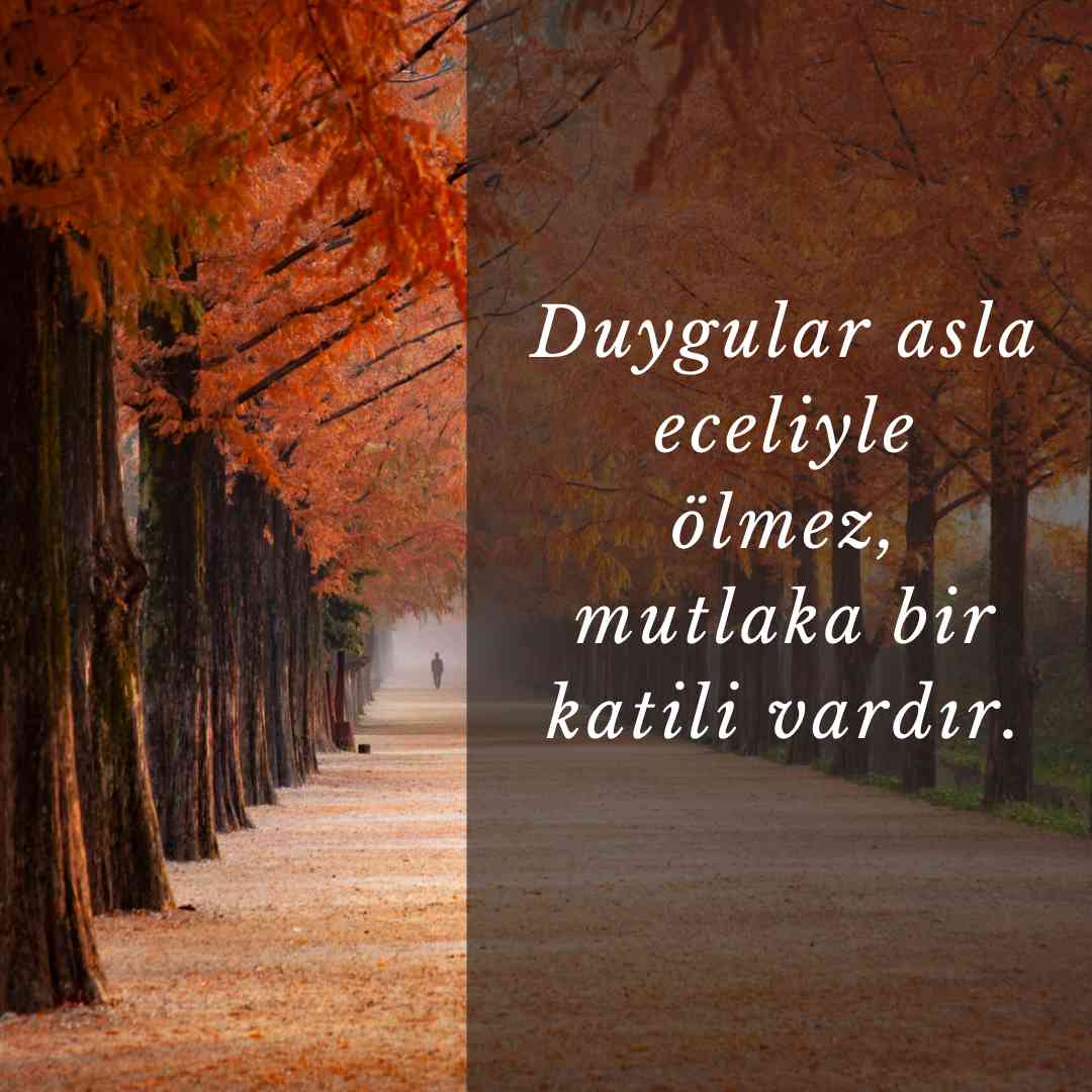 Duygusal Aşk Sözleri Duygular asla eceliyle olmez mutlaka bir katili vardir.