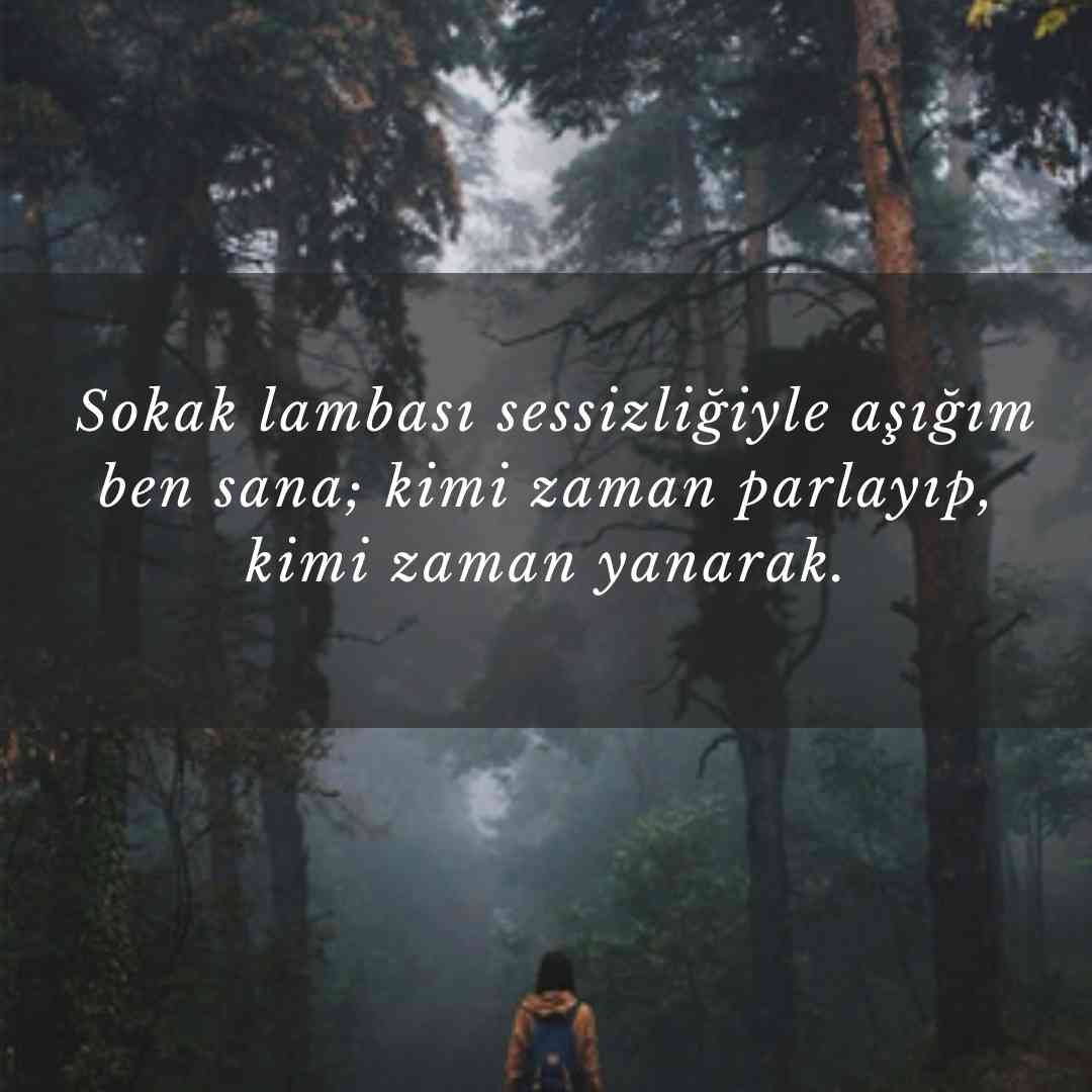 Sokak lambasi sessizligiyle asigim ben sana kimi zaman parlayip kimi zaman yanarak.