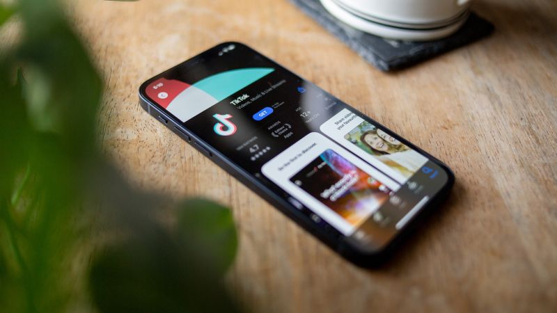 17 tiktokapp bej copy
