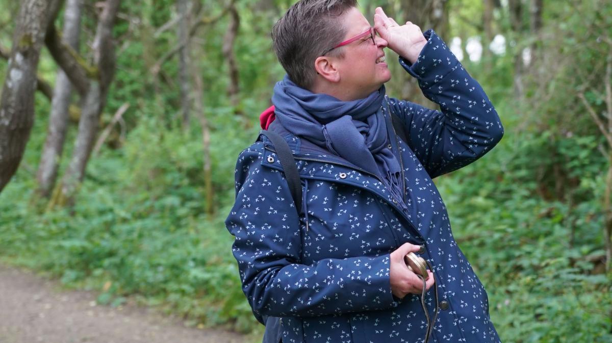 2025 walbaden naturpfad vogelkoje kampen hausmannsoelring museen
