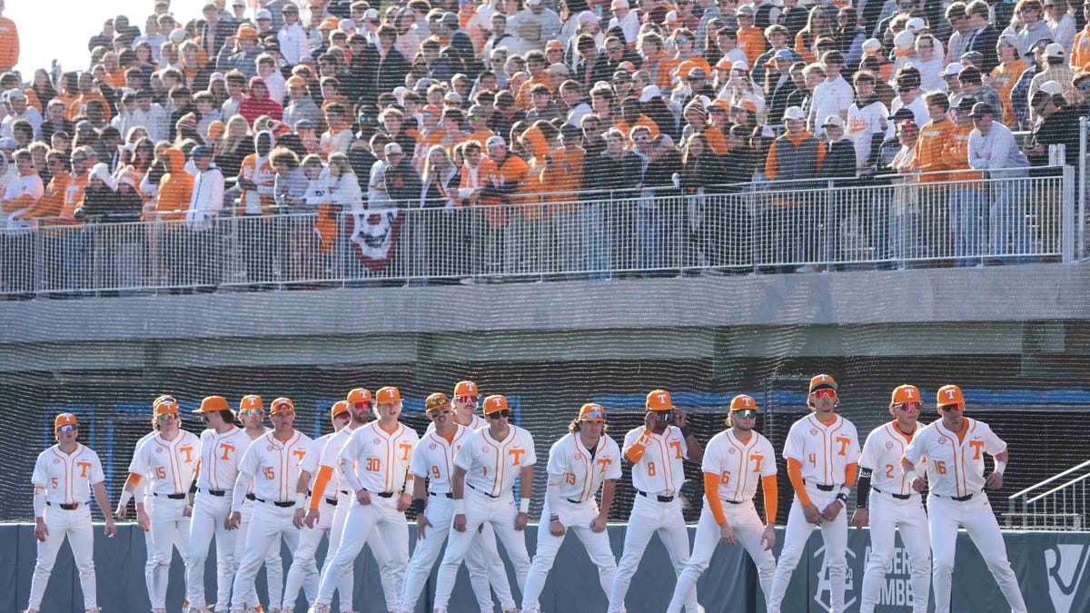 78652210007 tenn baseball hofstra 0214 00324