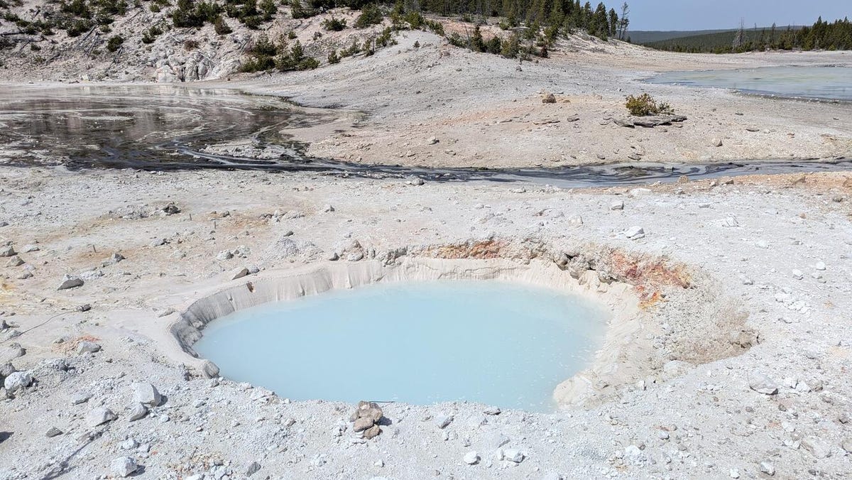 85238818007 yellowstone spring