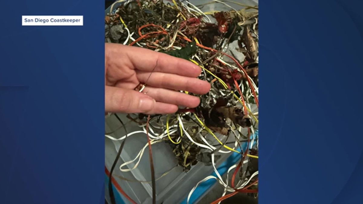 FIREWORKS POLLUTION