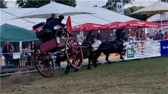 Unfall bei der Tarmstedter Ausstellung Ploetzlich fiel eine 1091165og