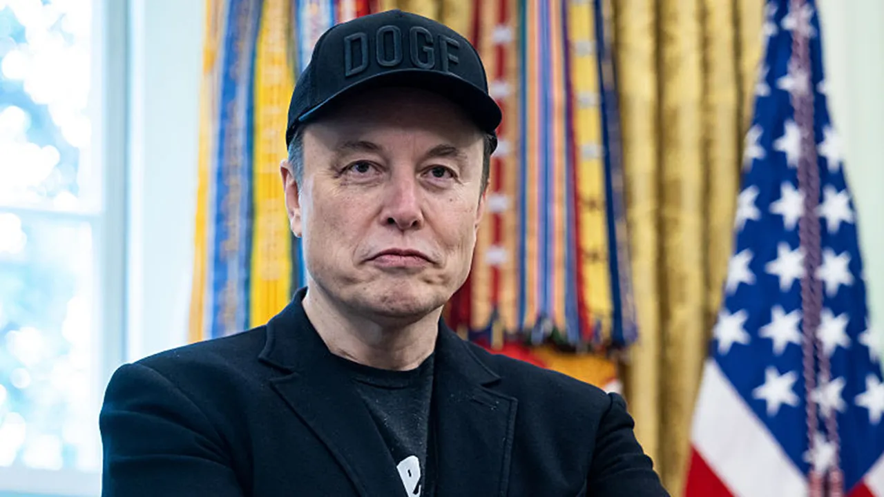 elon musk doge hat