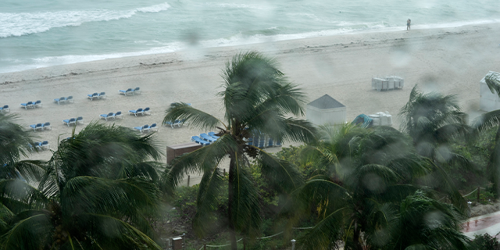 palm trees beach rain storms