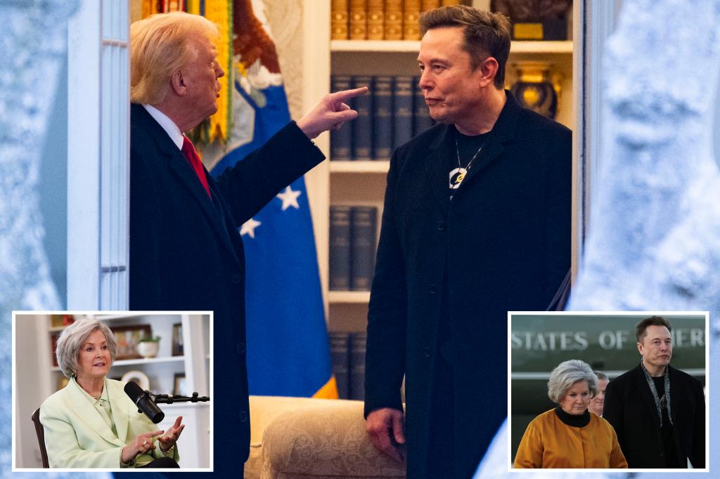 susie wiles trump elon comp