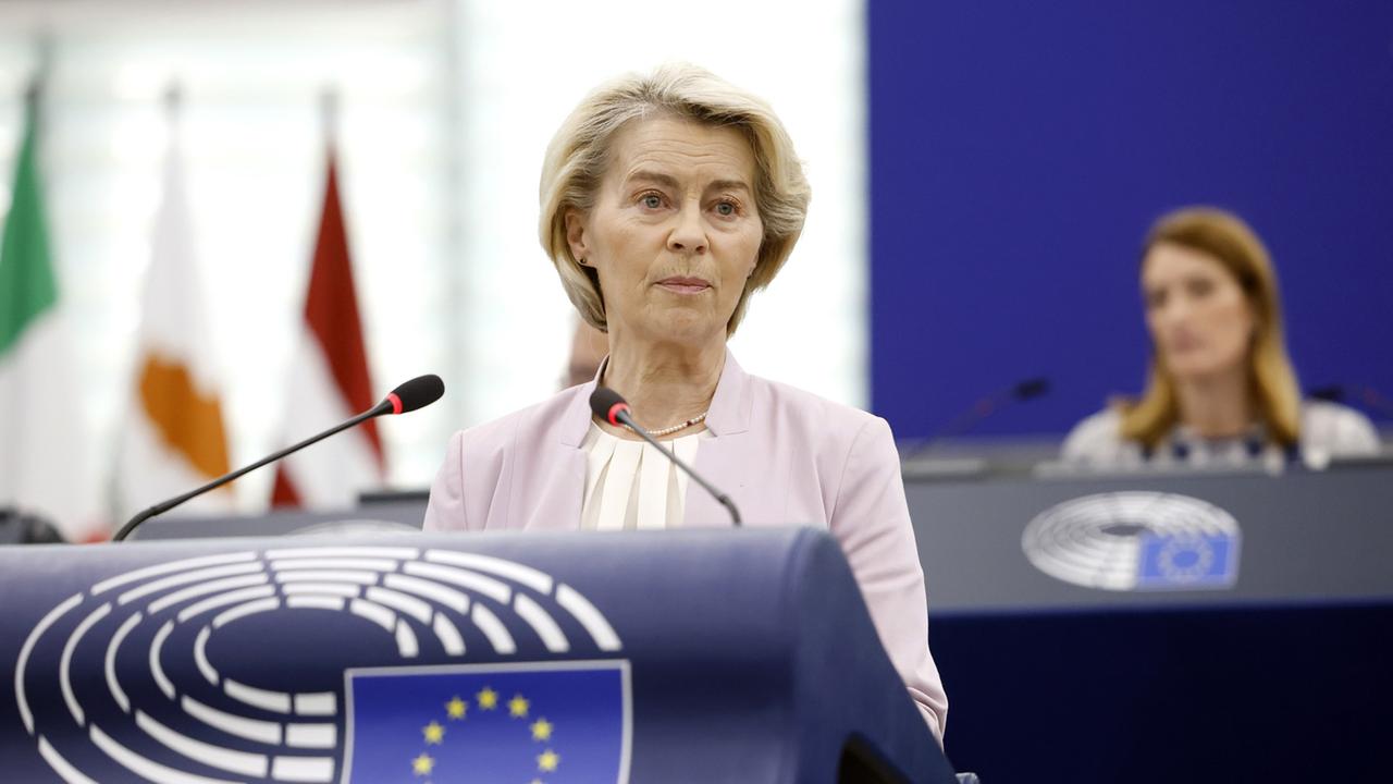 von der leyen 654