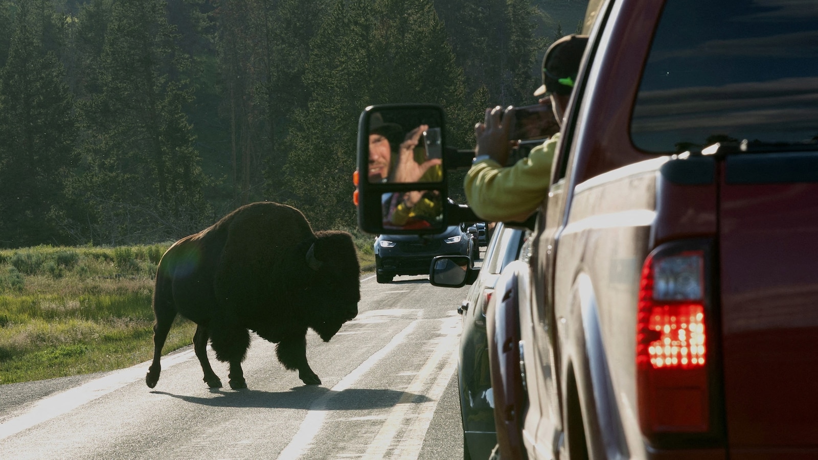 Wildlife is not migrating out of Yellowstone National Park, despite misinformation spreading on social media, NPS says