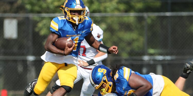 2025 IHSA state football quarterfinal scores