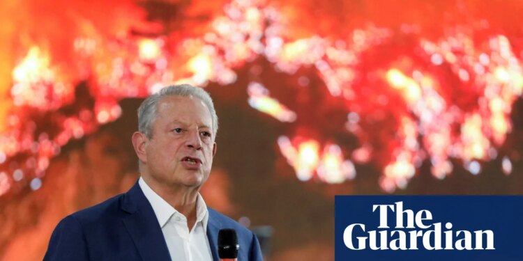Al Gore wonders if ‘bullying’ Trump prompted Bill Gates to backtrack on climate | Al Gore
