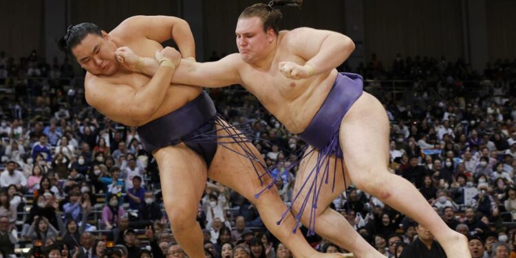 Aonishiki beats Hoshoryu to regain share of lead as Onosato falters