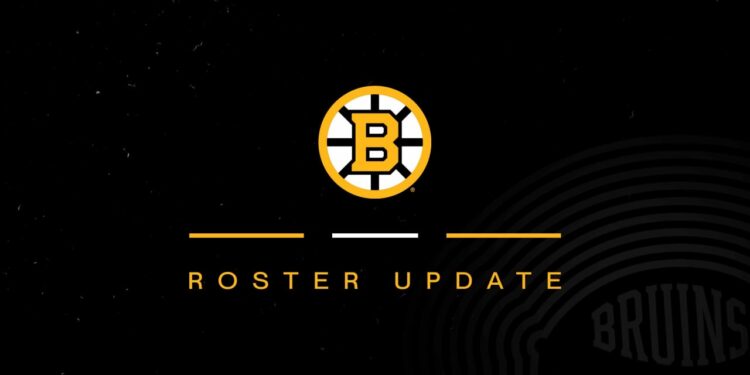 Bruins Announce Roster Transactions | Boston Bruins