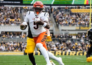 Cincinnati Bengals WR Tee Higgins is one TD catch away from setting NFL history
