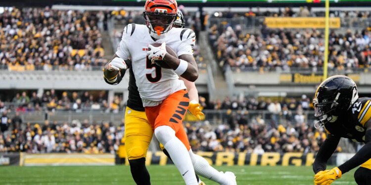 Cincinnati Bengals WR Tee Higgins is one TD catch away from setting NFL history