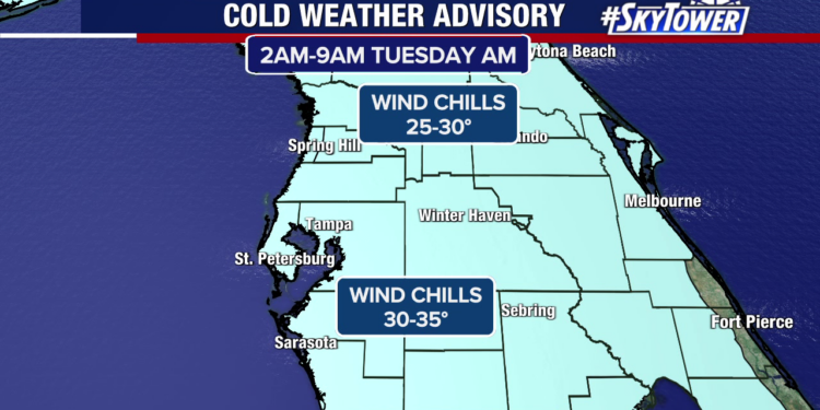 Cold snap brings freeze warning to Bay Area; Here’s how to protect pets, plants, and yourself