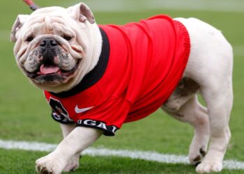 Georgia, Oklahoma rise in AP Top 25; three Group of 5 teams ranked