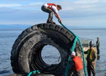 Giant industrial tires removed from beach near Campbell River, B.C.