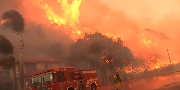 Los Angeles County launches State Farm probe after Eaton and Palisades fires Los Angeles County launches State Farm probe after Eaton and Palisades fires