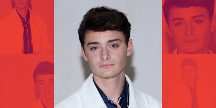 Noah Schnapp Is Terrifyingly Excited for Final Season