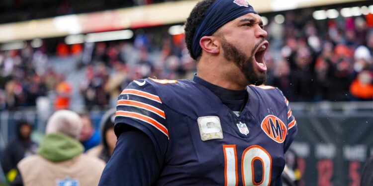 Postseason probabilities entering Week 12 of 2025 season