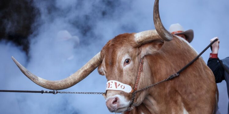 Preseason No. 1 Texas returns to top 10 of AP college football poll Preseason No. 1 Texas returns to top 10 of AP college football poll