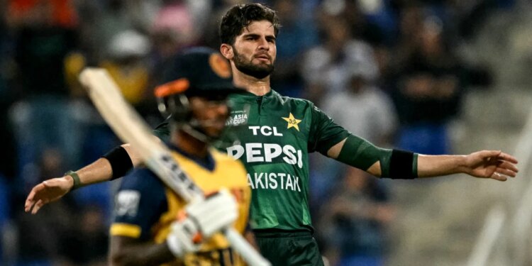 Rawalpindi takes centre stage as Pakistan, SL and Zimbabwe scramble for World Cup spark