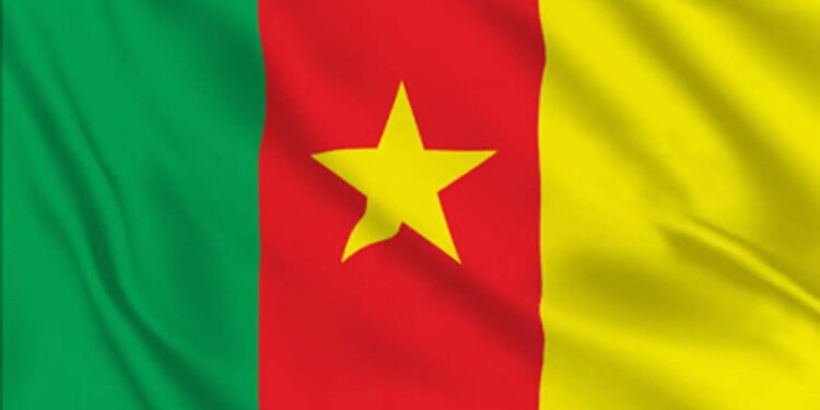 Ten LGBTI youth arrested in Cameroon, released for small ransom Flag of Cameroon