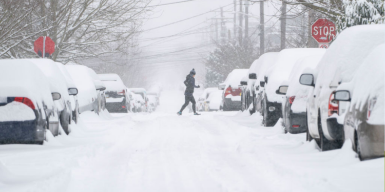 Winter Weather Alert as 12 Inches of Snow To Hit Amanda Greenwood